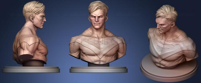 3D model Nightwing Bust (STL)